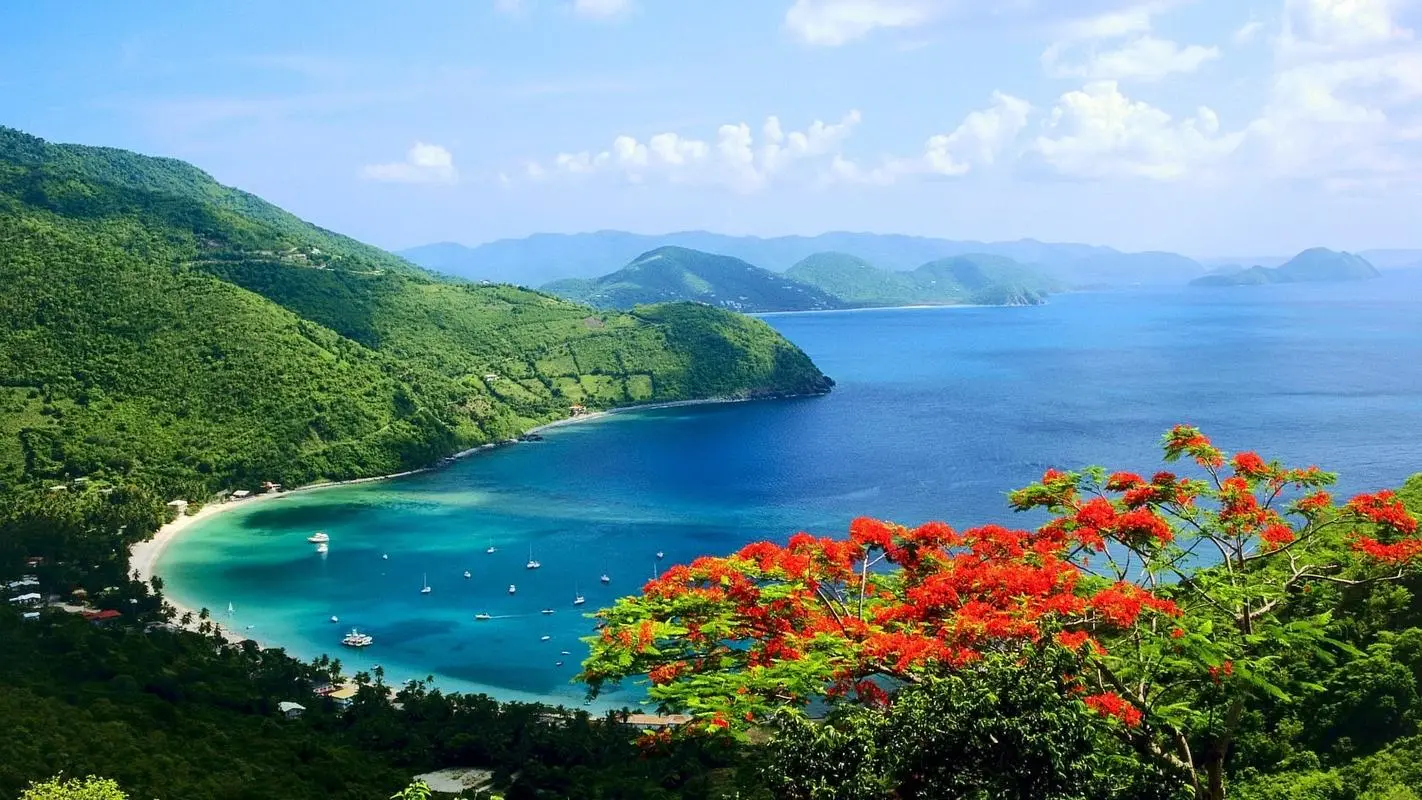 高精度全自动高端